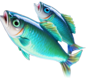Go Fishing